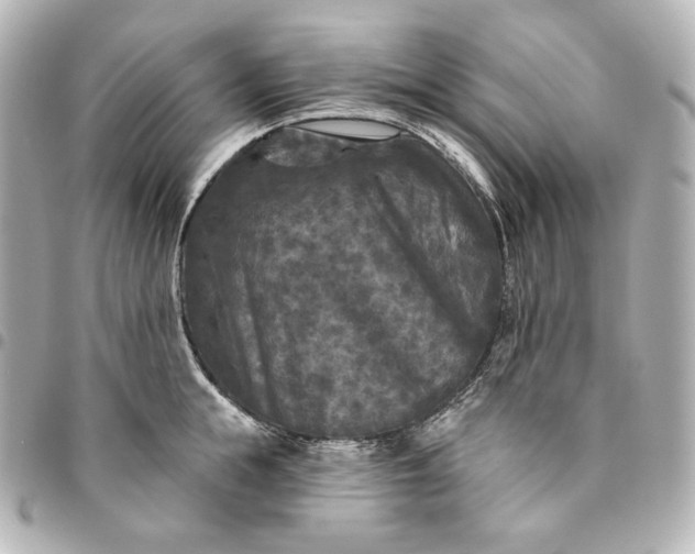 X0000095530855200712281520