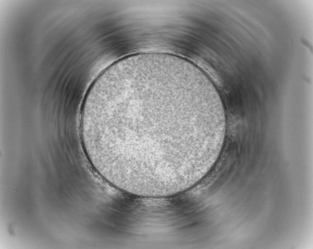 X0000095530856200712281520