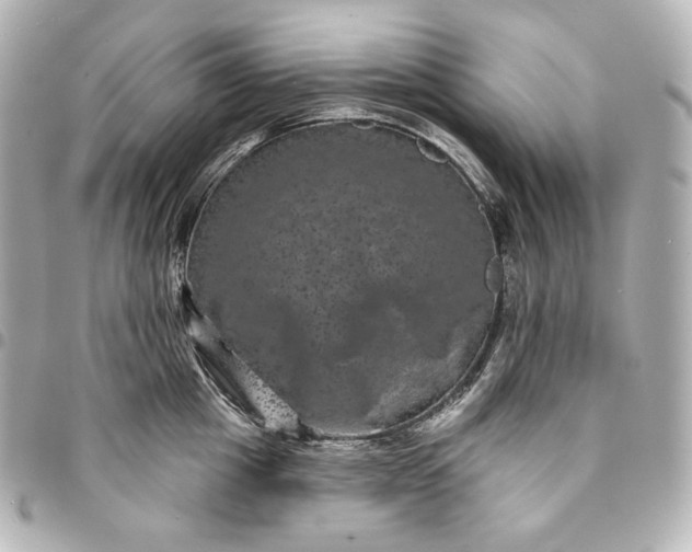 X0000095530857200712281520
