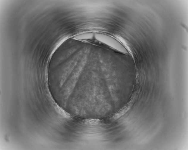 X0000095530859200712281520
