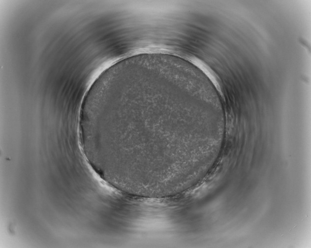 X0000095530861200712281520