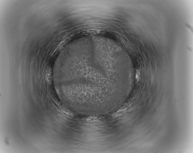 X0000095530867200712281520
