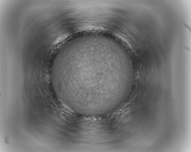 X0000095530869200712281520