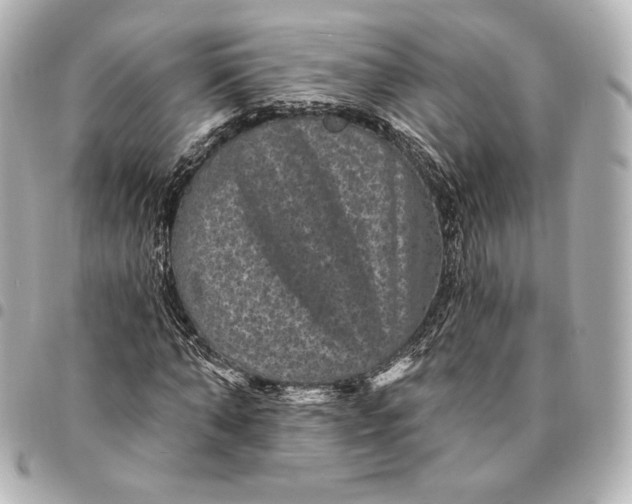 X0000095530870200712281520