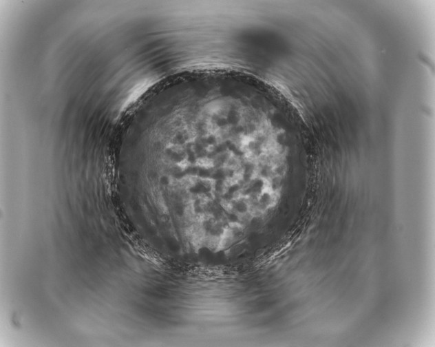 X0000095530871200712281520