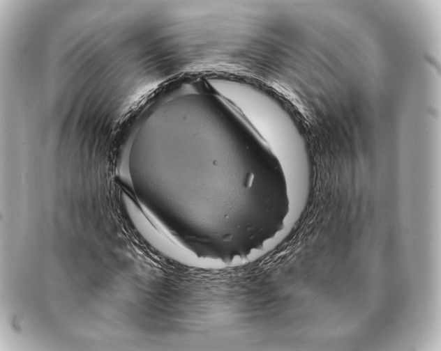 X0000095530872200712281520