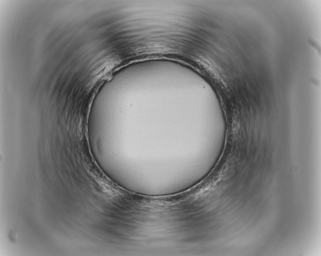 X0000095530873200712281520