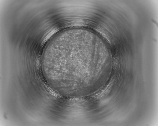 X0000095530874200712281520