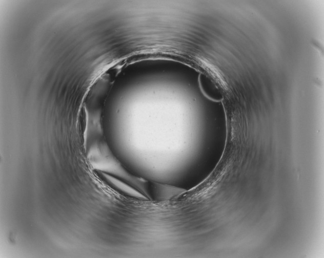 X0000095530876200712281520