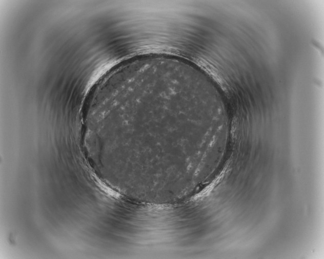 X0000095530877200712281520