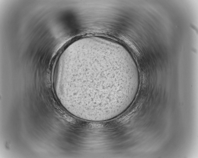 X0000095530878200712281520