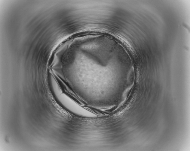 X0000095530880200712281520