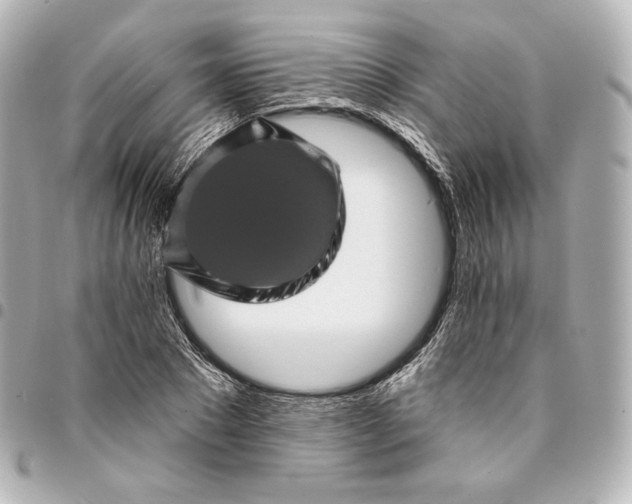 X0000095530881200712281520
