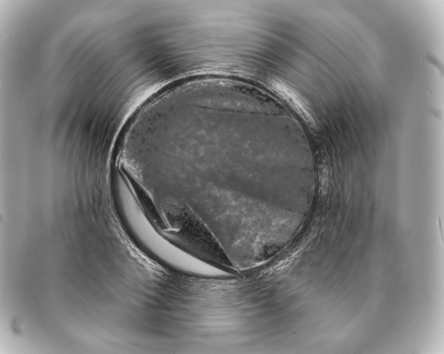 X0000095530884200712281520