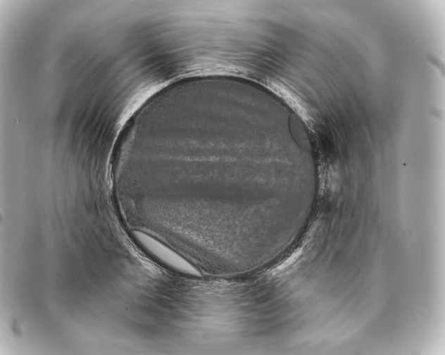 X0000095530885200712281520