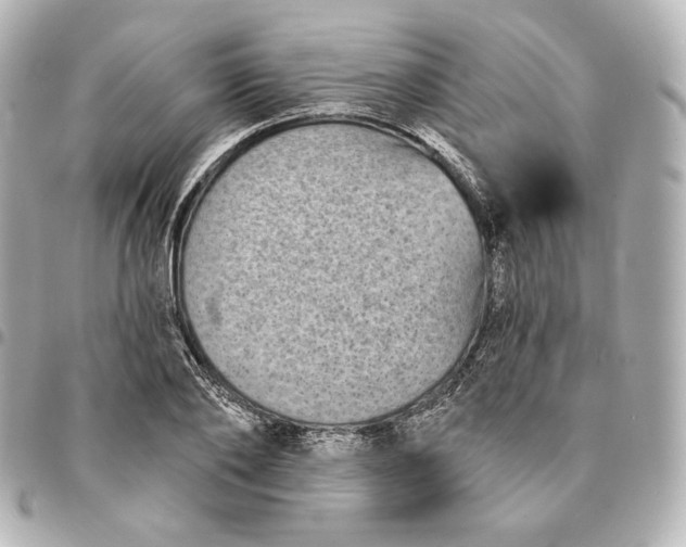 X0000095530886200712281520