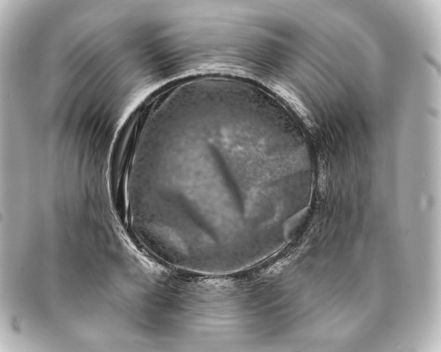X0000095530888200712281519