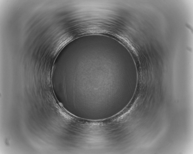 X0000095530889200712281519