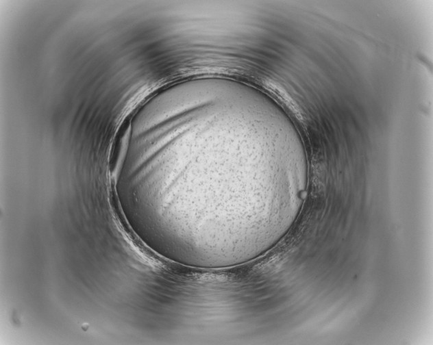 X0000095530890200712281519