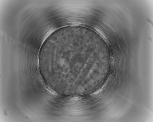 X0000095530891200712281519