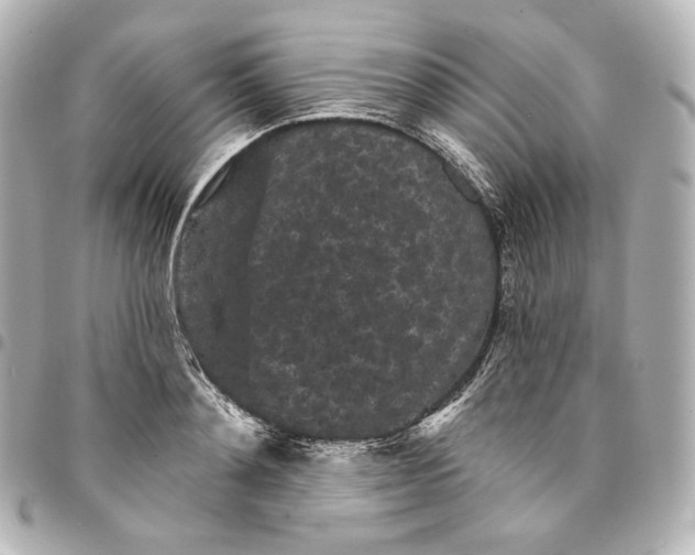 X0000095530892200712281519