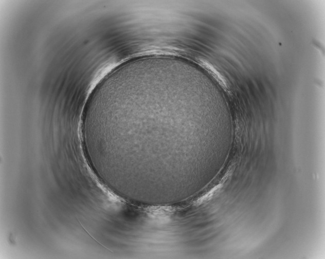 X0000095530893200712281519