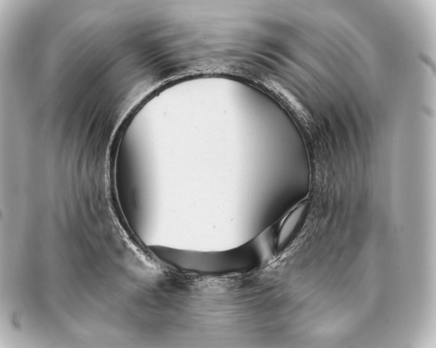 X0000095530894200712281519