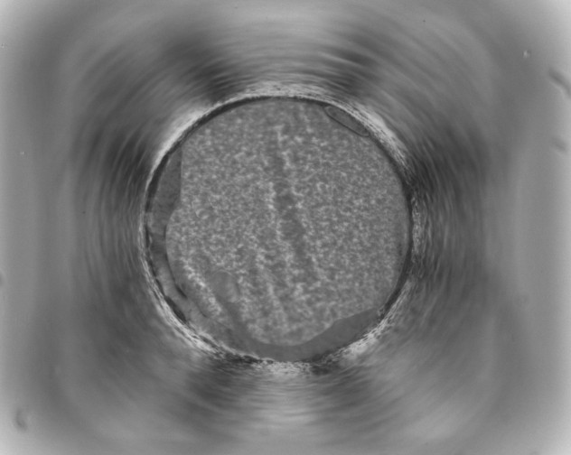 X0000095530896200712281519