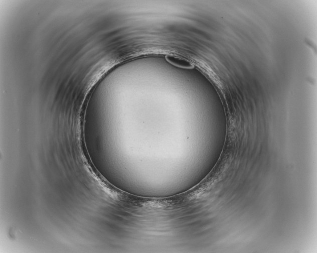 X0000095530898200712281519