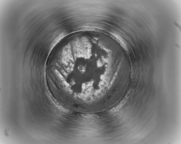 X0000095530899200712281519