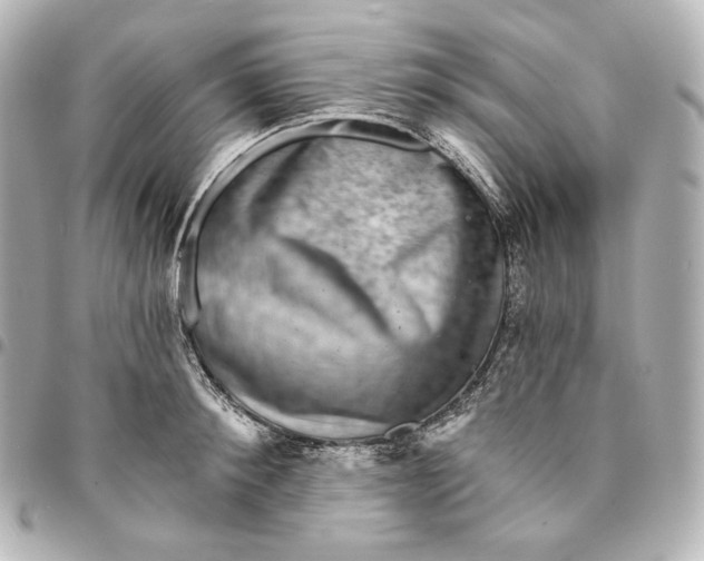 X0000095530900200712281519