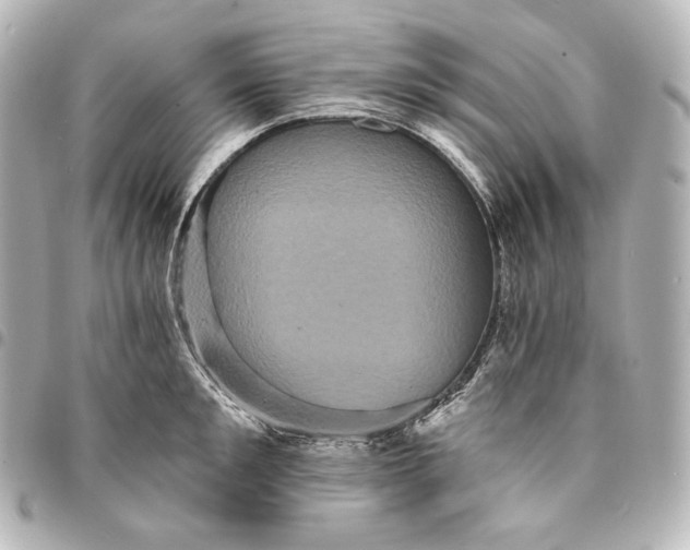 X0000095530901200712281519