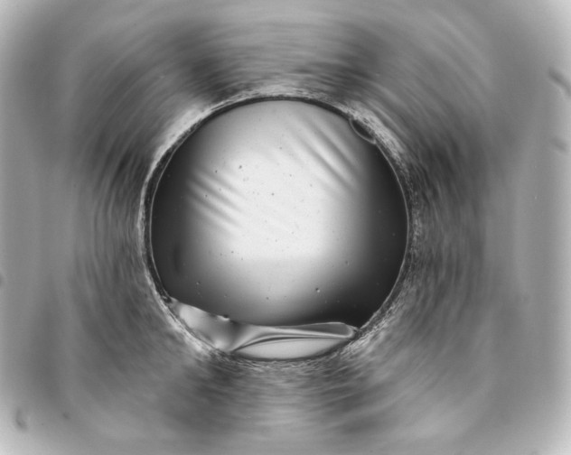 X0000095530902200712281519