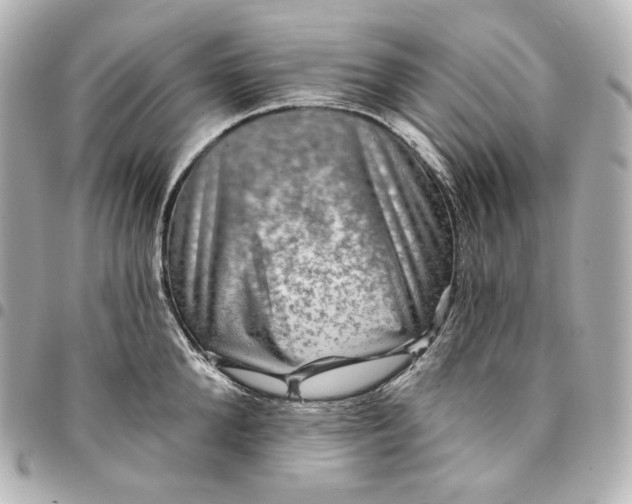 X0000095530904200712281519