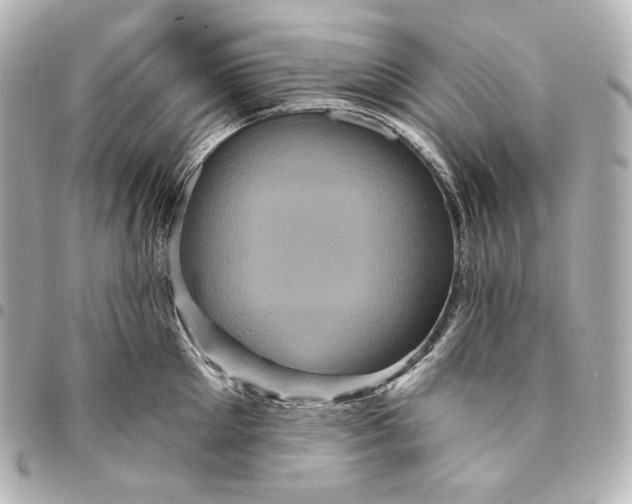 X0000095530905200712281519