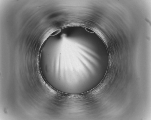 X0000095530906200712281519