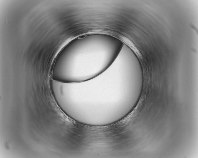 X0000095530908200712281519
