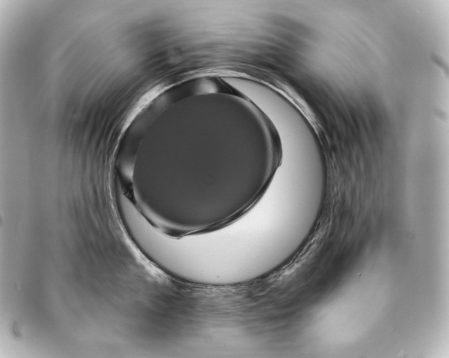 X0000095530909200712281519
