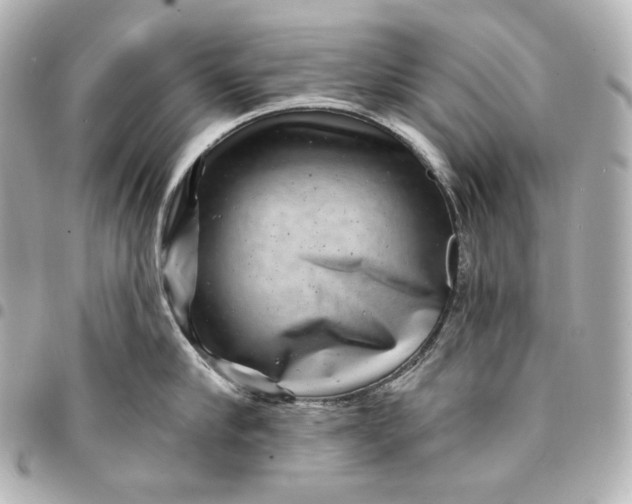 X0000095530910200712281519