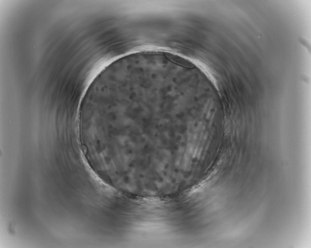 X0000095530911200712281519