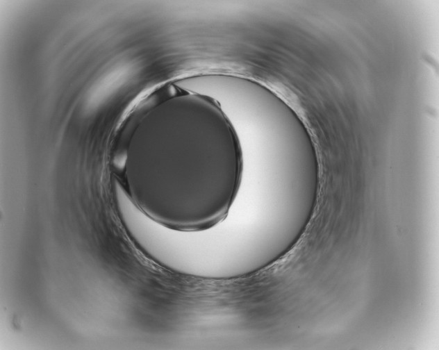 X0000095530912200712281519