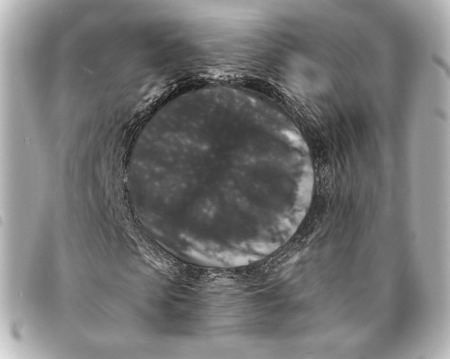 X0000095530913200712281518