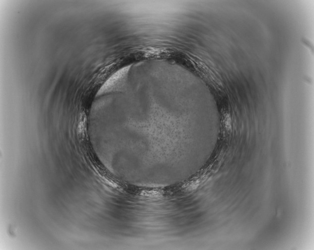 X0000095530914200712281519