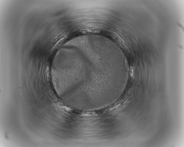 X0000095530915200712281519