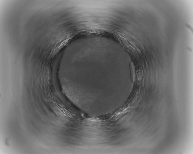 X0000095530916200712281519