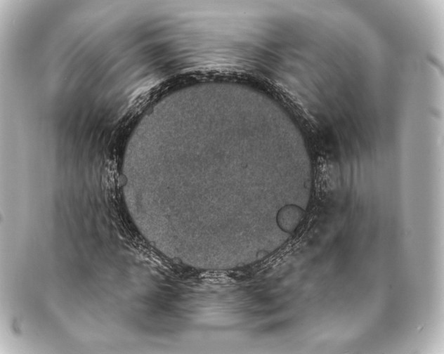 X0000095530918200712281519