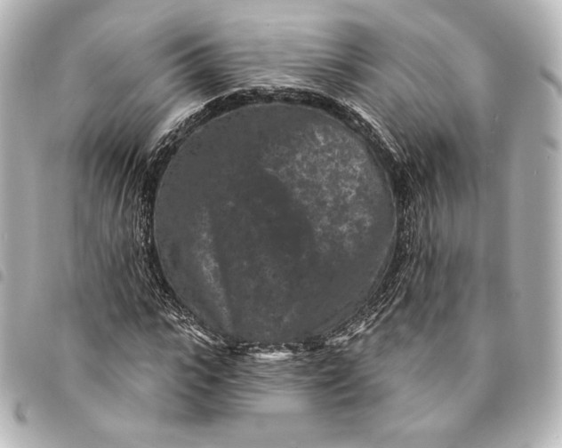 X0000095530919200712281519