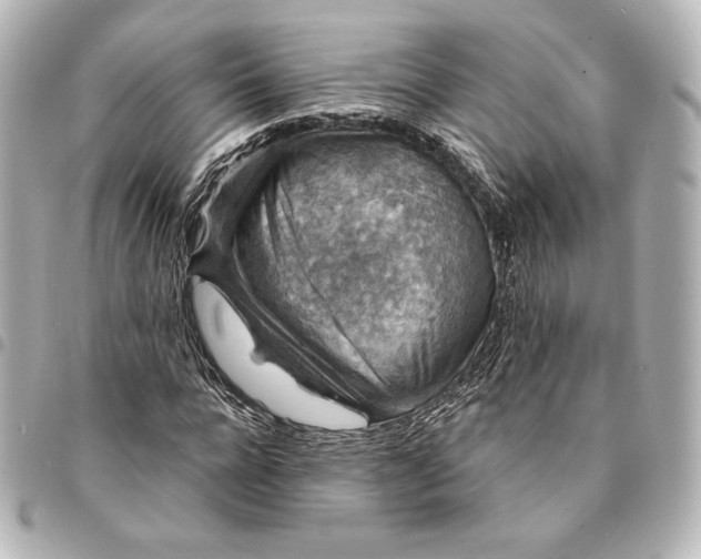 X0000095530920200712281519
