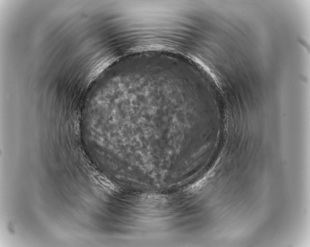 X0000095530921200712281519