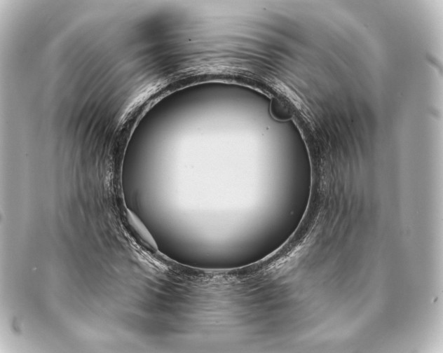 X0000095530922200712281519
